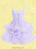 Silvia Ball-Gown/Princess Sweetheart Short Tulle Homecoming Dress BF2P0025677