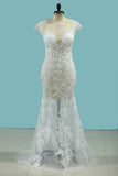 2024 Sexy Beach Scoop Wedding Dresses Sheath Lace See-Through