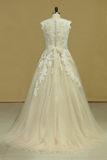 2024 Plus Size V Neck Wedding Dresses Tulle With Applique Court Train Tulle