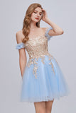 Chic Blue Off The Shoulder Lace Appliques Tulle Homecoming Dresses