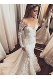 Modest Long Mermaid Scoop Lace Long Sleeves Wedding Dresses Bridal Dresses Appliques