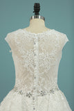 2024 V Neck A Line Beaded Waistline Wedding Dresses Lace With Applique