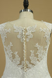 2024 Wedding Dresses A Line V Neck With Applique Chapel Train