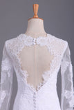 2024 Long Sleeves V Neck Open Back Wedding Dresses Tulle With Applique Sheath