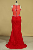 2024 Red Plus Size Prom Dresses Scoop Beaded Bodice Sweep Train Lace Mermaid