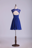 2024 Homecoming Dresses Dark Royal Blue A Line Short Square Neckline Open Back Lace & Chiffon