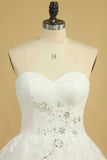 2024 Plus Size Wedding Dresses A-Line Sweetheart Court Train Tulle Applique Covered Button