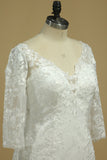 2024 New Arrival V Neck 3/4 Length Sleeves Mermaid Lace Wedding Dresses