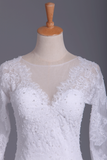 2024 Wedding Dresses Scoop Long Sleeves Spandex Court Train With Applique