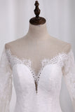 2024 Wedding Dresses Long Sleeves Scoop Mermaid Tulle With Applique