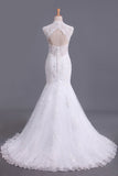 2024 Hot Mermaid/Trumpet Wedding Dresses With Applique & Beads Open Back