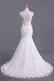 2024 Hot Mermaid/Trumpet Wedding Dresses With Applique & Beads Open Back