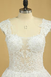 2024 Plus Size Bridal Dresses A-Line Off The Shoulder Tulle Court Train White Zipper Back