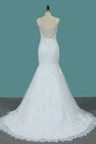 2024 New Arrival Wedding Dresses Scoop Mermaid Tulle With Applique And Beads