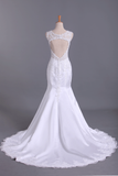 2024 Hot Wedding Dresses Mermaid V-Neck Court Train Satin With Applique Open Back