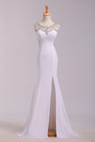 2024 New Arrival Prom Dresses Scoop Neckline Sheath/Column Floor Length Fast Delivery