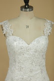 2024 Mermaid Wedding Dresses Straps Tulle Court Train With Applique