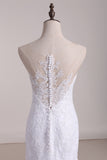 2024 Court Train Scoop Mermaid Wedding Dresses Tulle With Applique