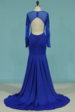 2024 Mermaid Blue Prom Dress Long Sleeves