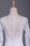 2024 Wedding Dresses Scoop Long Sleeves Spandex Court Train With Applique