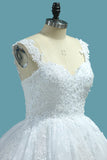 2024 Straps Tulle Ball Gown Wedding Dresses With Applique Chapel Train