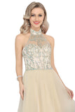 2024 A-Line Halter Prom Dress Floor-Length Tulle With Beads&Rhinestones