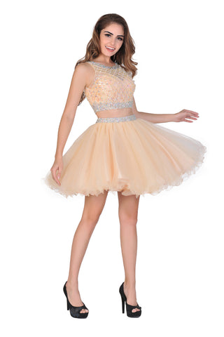 2024 A-Line Homecoming Dresses Short/Mini Scoop Beaded Bodice Tulle