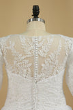 2024 Mid-Length Sleeves Scoop Wedding Dresses A Line With Applique Organza