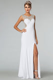 2024 New Arrival Prom Dresses Scoop Neckline Sheath/Column Floor Length Fast Delivery