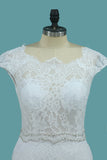 2024 Lace Wedding Dresses Scoop With Beaded Waistline Covered Button Open Back