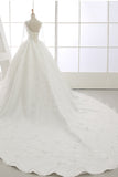 2024 Long Sleeves Wedding Dresses V Neck With Applique Organza Cathedral Train