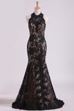 2024 Black Halter Prom Dresses Mermaid Lace Floor Length Open Back