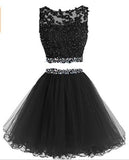 Short Beaded Party Dresses Homecoming Dresses Two Pieces Zoe Tulle Applique CD2255