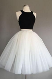 Tulle Homecoming Dresses Ashlee Ivory Halter Knee-Length Two Piece Sleeveless CD4612