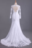 2024 Long Sleeves V Neck Open Back Wedding Dresses Tulle With Applique Sheath