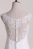 2024 Wedding Dresses Scoop A Line Tulle With Applique