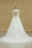 2024 Wedding Dresses A Line V Neck With Applique Chapel Train