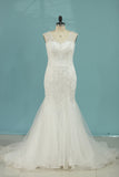 2024 Mermaid/Trumpet Wedding Dresses V-Neck Chapel Train Tulle With Applique Sleeveless