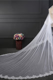 Lace Edge 3*3.5 Meters Wedding Veil With Applique V085