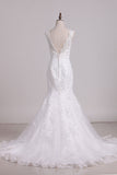 2024 Wedding Dress V Neck With Applique Mermaid/Trumpet Tulle Chapel Train