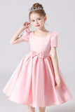 A Line Short Sleeve Birthday Princess Dresses Short Flower Girl Dresses