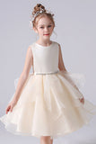 Cute A Line Sleeveless Short Flower Girl Dresses With Beading Waist