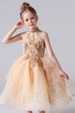 Cute Sleeveless Appliques Flower Girl Dresses