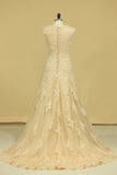 2024 Champagne V-Neck Wedding Dresses A Line Court Train With Applique