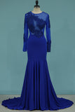 2024 Mermaid Blue Prom Dress Long Sleeves