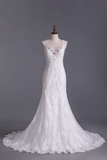 2024 V Neck Trumpet Wedding Dresses With Applique Chapel Train