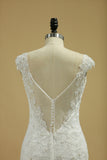 2024 Straps Mermaid/Trumpet Wedding Dresses Tulle With Applique Chapel Train