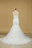 2024 One Shoulder Tulle With Applique Mermaid Court Train Wedding Dresses